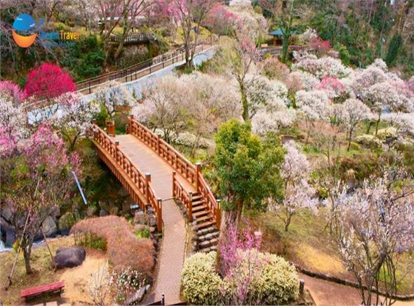 [HCM] Tour Hành Trình Vàng Nhật Bản Mùa Đông Đón Tết Bính Ngọ